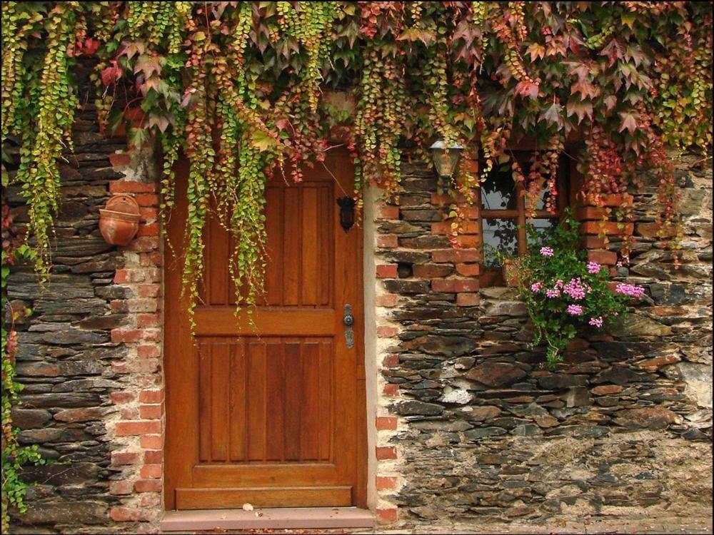 Hotel Weingut Dehren Ellenz-Poltersdorf Exterior photo