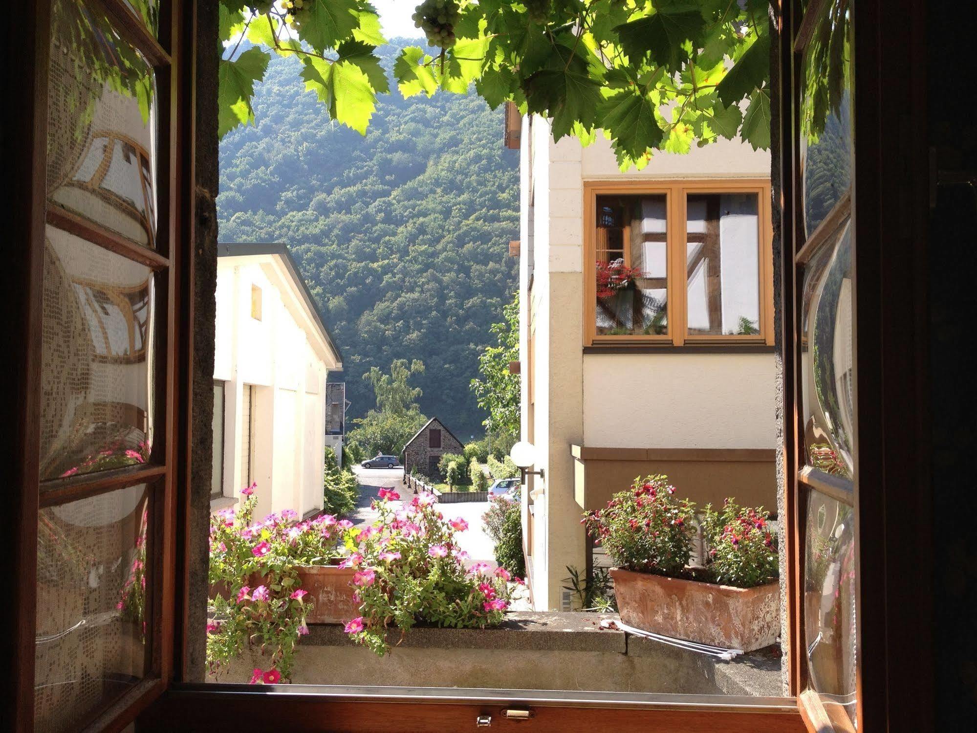 Hotel Weingut Dehren Ellenz-Poltersdorf Exterior photo